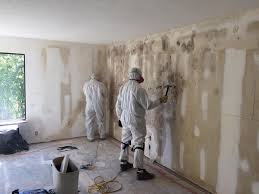 Forensic Mold Investigation in New Baltimore, VA